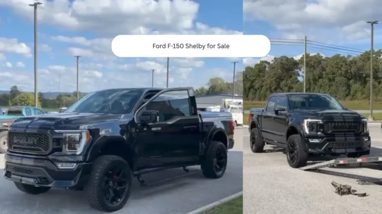 Ford F-150 Shelby for Sale
